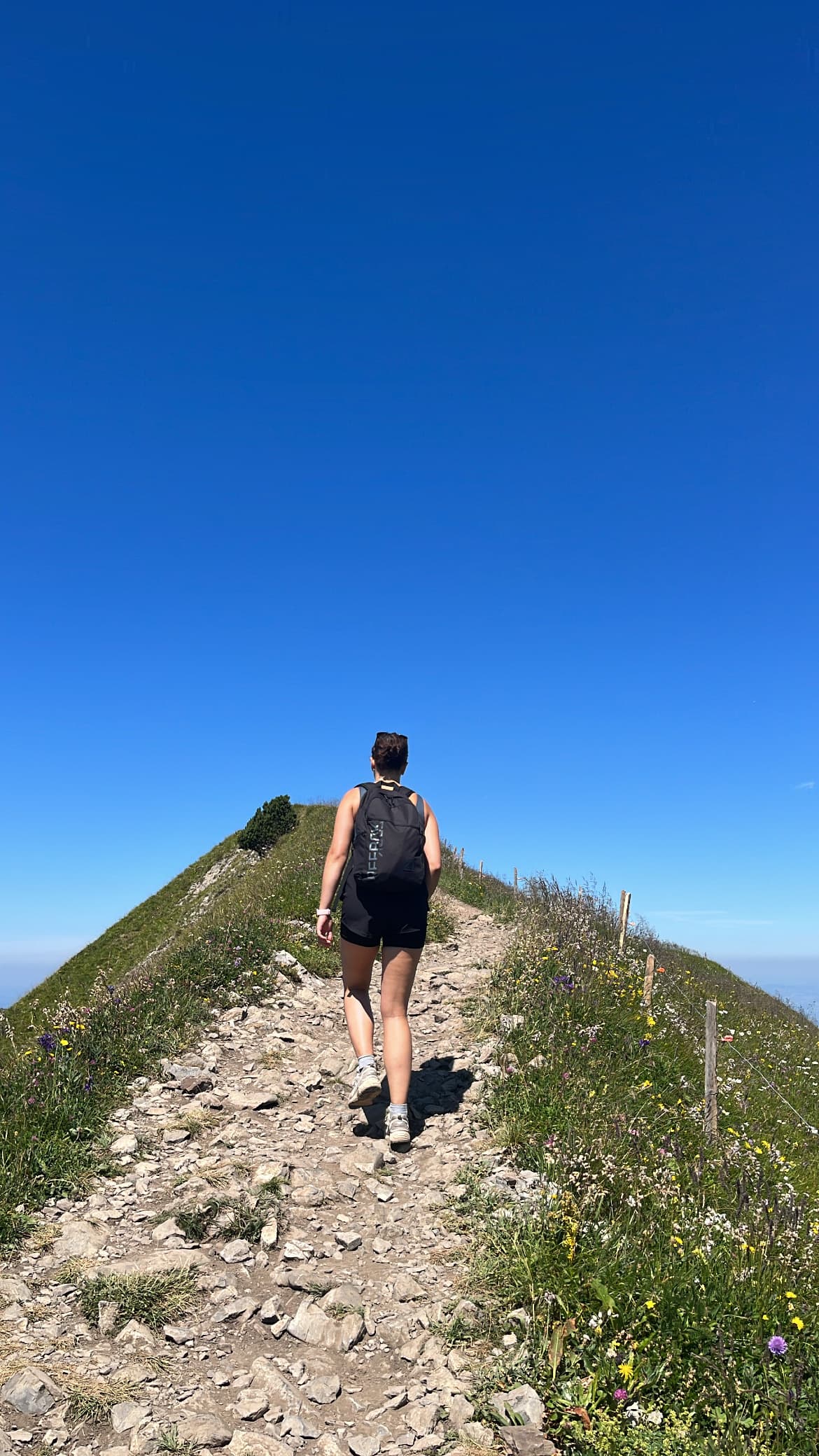 Laura exploring the Alps