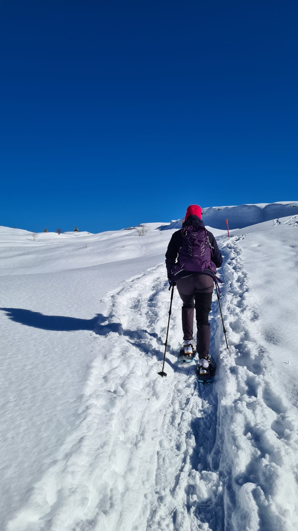 Mountain panorama near Luzern